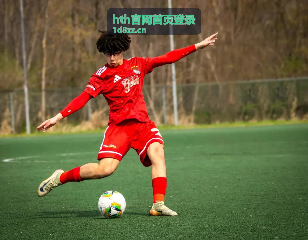 hth官网首页登录结算查询功能介绍